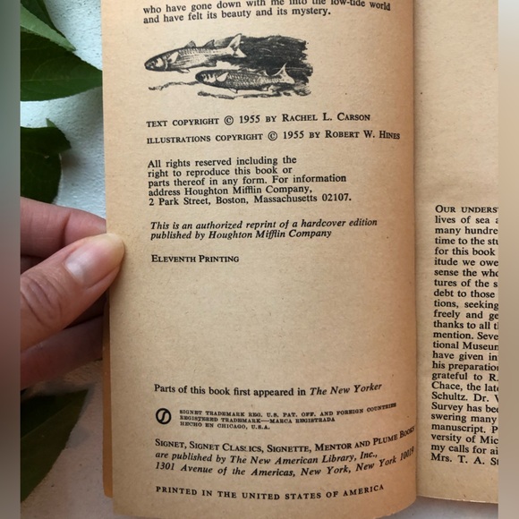 The Edge Of The Sea by Rachel Carson, w/ 160+ illustrations by Bob Hines, 1955 - Picture 13 of 15